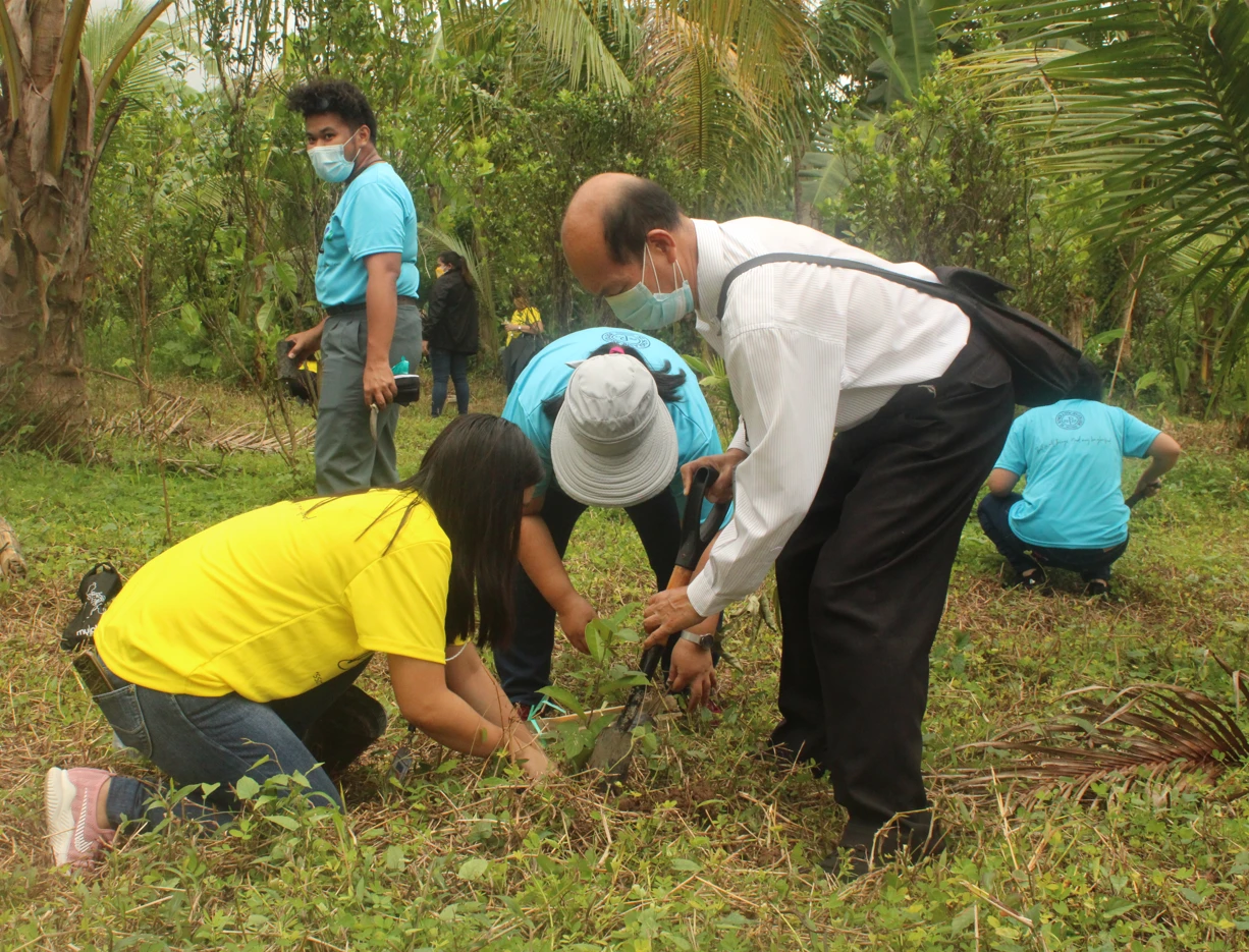 Tree Planting